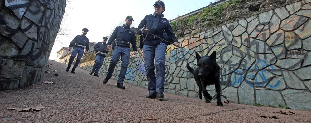 Controlli antidroga della polizia