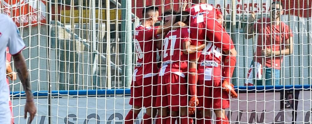 Festa dopo un gol del Monza contro Piacenza