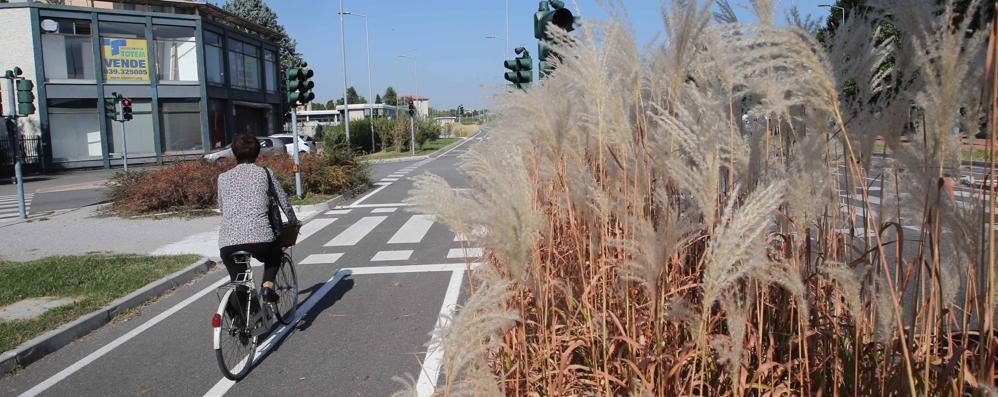 La pista ciclabile lungo viale Lombardia