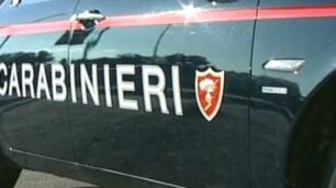 Carabinieri di Vimercate generica