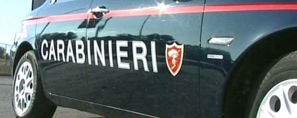 Carabinieri di Vimercate generica