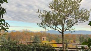 Monza, la vista nella fotografia lettera Risveglio nel verde