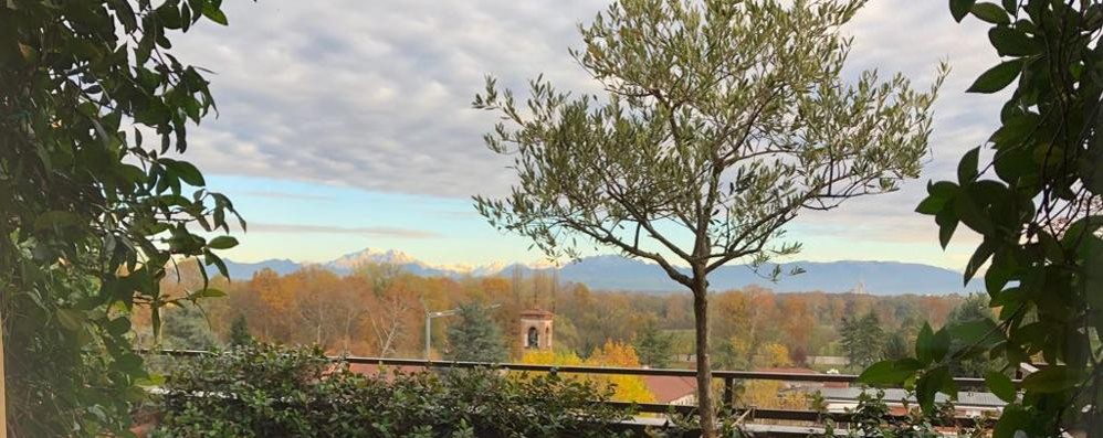 Monza, la vista nella fotografia lettera Risveglio nel verde