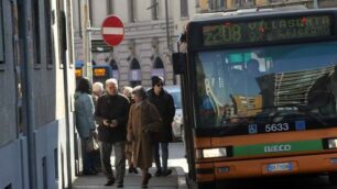 Monza Autobus urbano linea Net