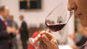 Appuntamento a  Carate Brianza con la terza edizione di Brianza wine festival