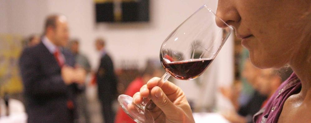 Appuntamento a  Carate Brianza con la terza edizione di Brianza wine festival