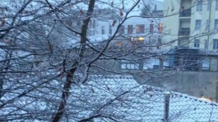 Primi fiocchi di neve a Monza