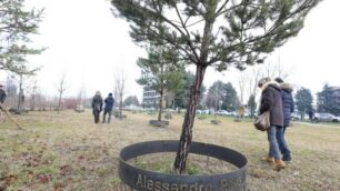 MONZA bosco della memoria