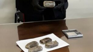 La droga sequestrata