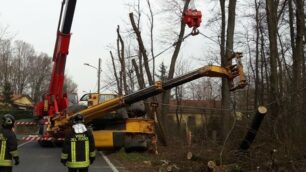 Lazzate incidente ribaltamento gru potatura alberi