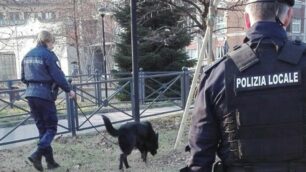 Un controllo della polizia locale in un giardino pubblico