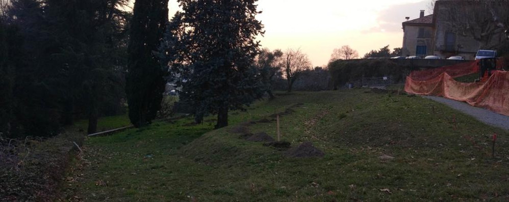 monticello i frutti del parco, il frutteto di villa greppi