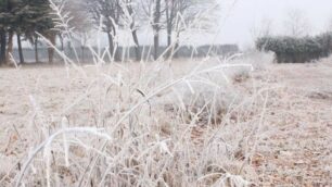 Meteo, ritorno delle basse temperature e possibilità di brinate nelle ore del mattino