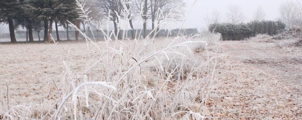 Meteo, ritorno delle basse temperature e possibilità di brinate nelle ore del mattino