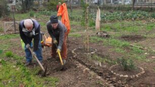 Monza, Orto condiviso di Cederna: volontari al lavoro dopo il furto degli attrezzi agricoli