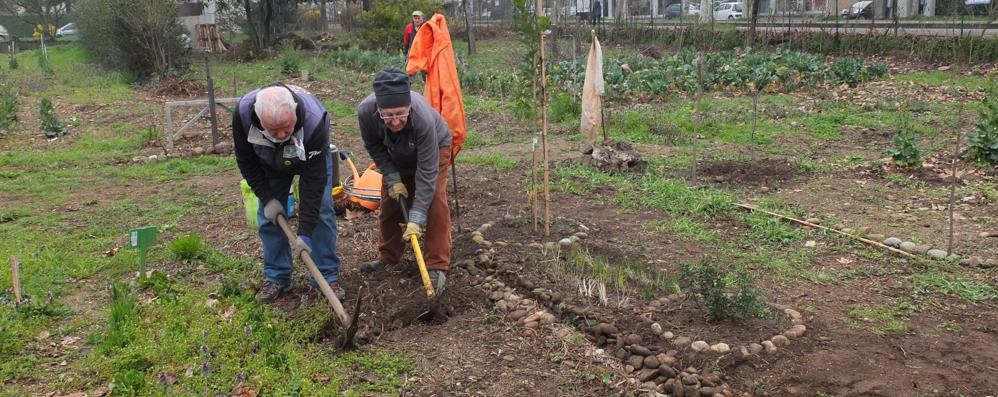 Monza, Orto condiviso di Cederna: volontari al lavoro dopo il furto degli attrezzi agricoli