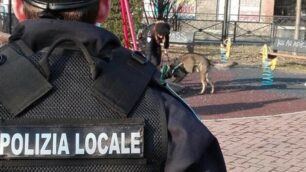 U agente del Nost della polizia locale di Monza