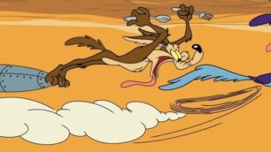 Willy il Coyote a caccia di BipBip