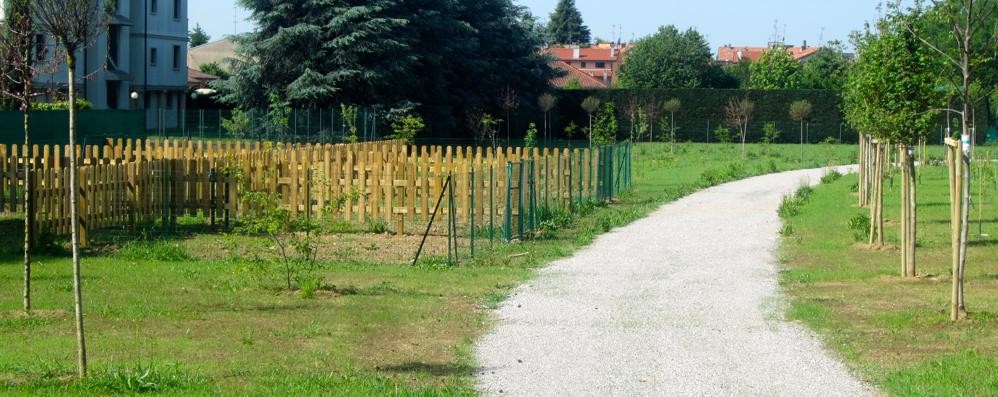 Gli orti urbani di Albiate