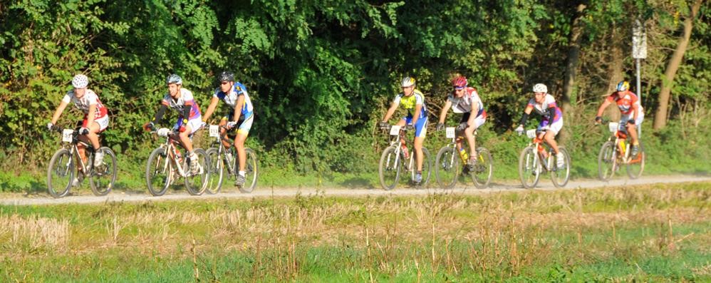 In bicicletta nel parco