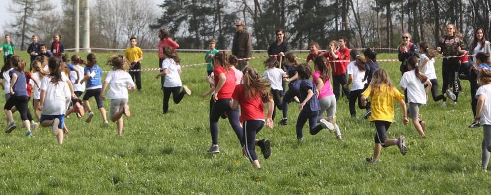 Monza corsa campestre scuole cattoliche