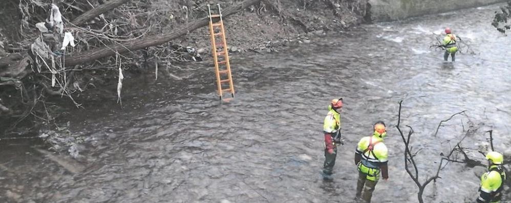 Protezione civile nel Seveso