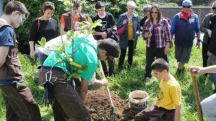 Monza: piantumazione della magnolia in ricordo di Matteo Trenti