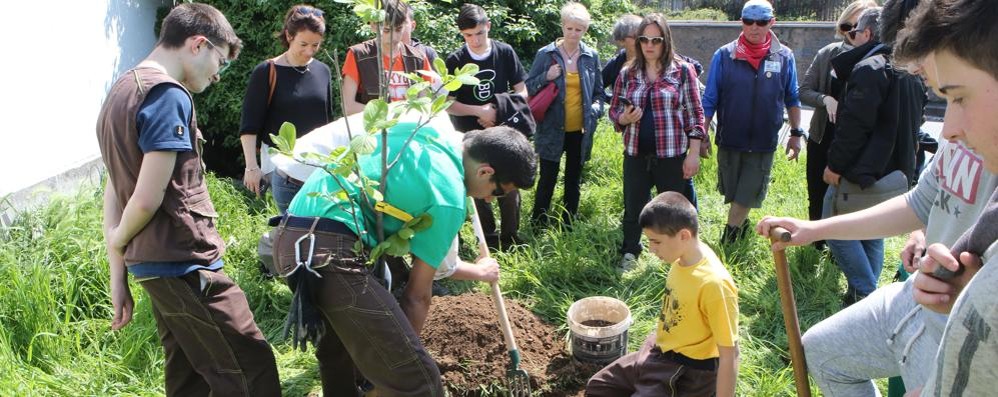 Monza: piantumazione della magnolia in ricordo di Matteo Trenti