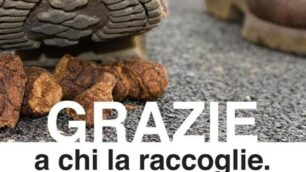 Una campagna di sensibilizzazione del 2016 a Monza