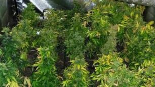 Droga Verano Brianza arresto carabinieri