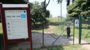 Monza Area cani via Debussy