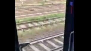 Treno Lecco-Milano in viaggio con porte aperte: foto dal video