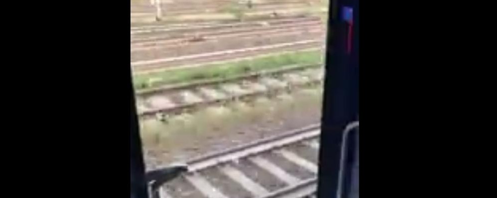 Treno Lecco-Milano in viaggio con porte aperte: foto dal video