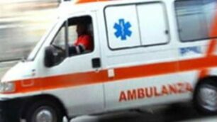 Due bambini aggrediti da due alani: sono stati portati all’ospedale Niguarda