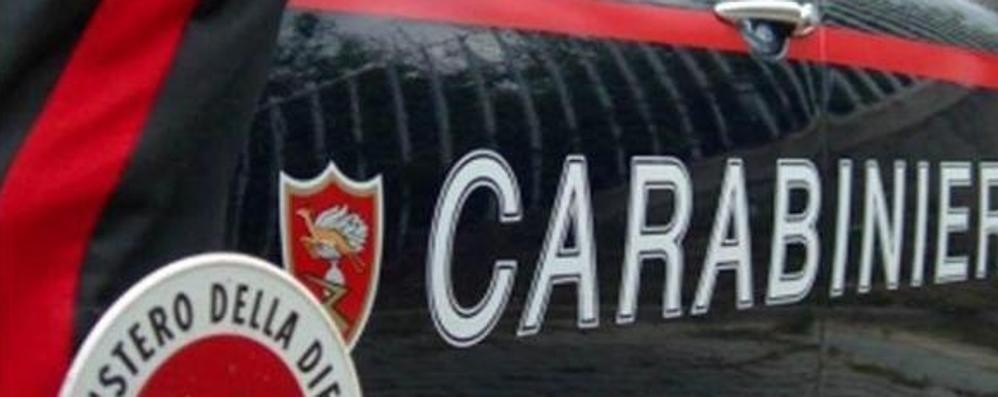 Servizio antidroga dei carabinieri a Limbiate