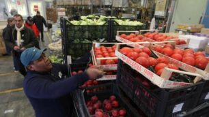 Il Banco alimentare: secondo una ricerca nonostante gli aiuti i poveri non diminuiscono
