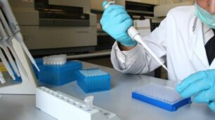 4I3V4400 PARMA CARABINIERI RIS LABORATORI FISICA DETERMINAZIONE DNA