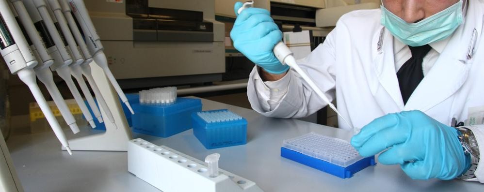 4I3V4400 PARMA CARABINIERI RIS LABORATORI FISICA DETERMINAZIONE DNA