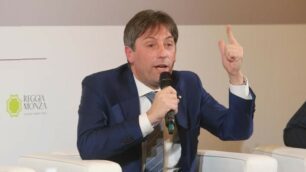 Il vicepresidente Fabrizio Sala