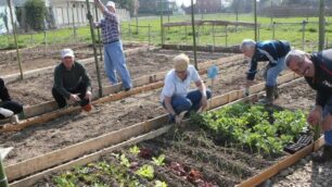 Monza Patti di collaborazione orti comuni via Adda