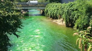 Lambro verde a valle del depuratore di Monza