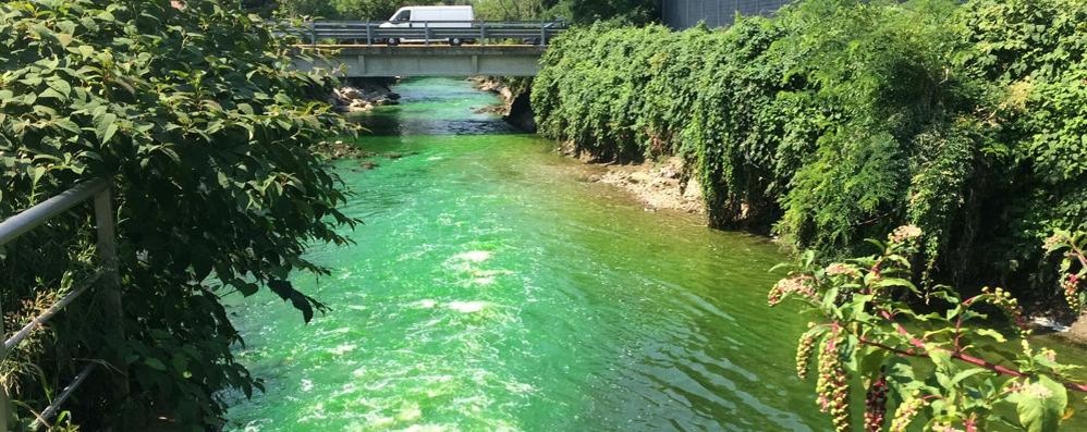 Lambro verde a valle del depuratore di Monza