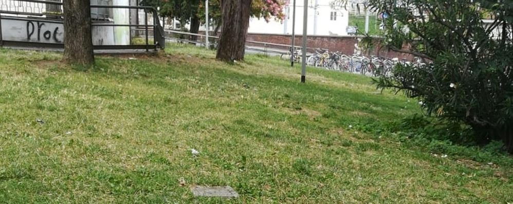 Monza giardino stazione ripulito