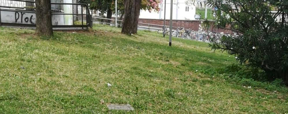 Monza giardino stazione ripulito