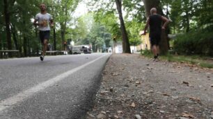 Monza Parco viale Cavriga