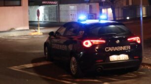 Diversi interventi dei carabinieri di Seregno