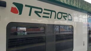 Uno dei convogli di Trenord impiegati sulle linee brianzole