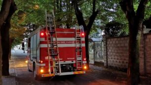 Giussano intervento per gatto