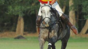 Addio a Alberto Galantino: martedì a Monza i funerali del re del polo scomparso a 50 anni