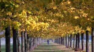 Monza Parco Autunno